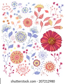 Set of various decorative flowers for design