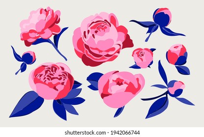Set of various decorative peonies or roses isolated on a white background. Floral, botanic concept. Vector isolated on white background. Pink, red, blue.