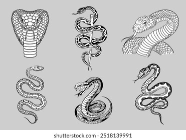 Set of various detailed hand drawn outline snakes - Viper, Cobra, Python, Boa, etc. Editable black and white illustration of different reptiles as a decor element for poster, tattoo, t-shirt print