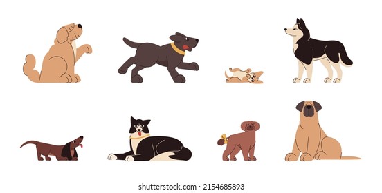 Set of various dog breeds and sizes. Flat cute small puppies and big funny domestic pets. Group of adorable animal characters in different poses. Happy dogs sitting, running and lying.