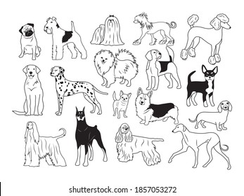 Set various dogs  Collection different pedigreed domestic dogs  Playing pets  Vector illustration cute dog faces  Drawing for children 