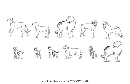 Set of various dogs. Collection of different pedigreed domestic dogs. Playing pets. Vector illustration of cute dog faces. Drawing for children