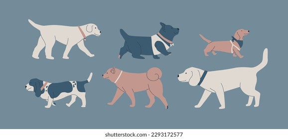 A set of various dogs. Cute dogs of different breeds. Dog show or dog walking in the city or in the park. Vector flat contour graphics.