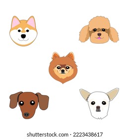 A set of various dogs:  poodle, toy poodle, chihuahua, shiba inu, pomeranian puppy, dachshund