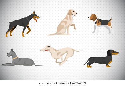 Set of various dogs vector illustration