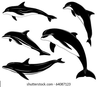 Set of various dolphins, tattoo