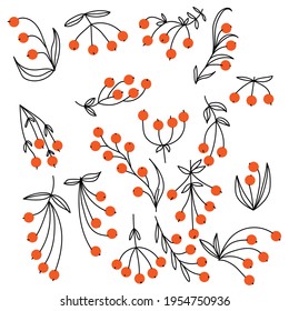 Un conjunto de varias bayas de doodle con hojas de contorno delicadas, ramas para el diseño de tarjetas, invitaciones, etc. ilustraciones vectoriales