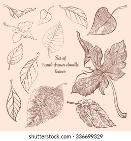 Set of various doodle hand-drawn fallen leaves