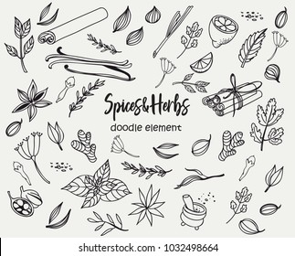 Set of various doodles, hand drawn rough simple sketches of various types of spices and herbs. Vector freehand illustration isolated on white background.