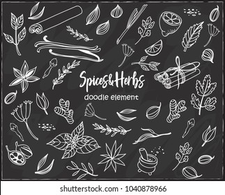 Set of various doodles, hand drawn rough simple sketches of various types of spices and herbs. Vector freehand illustration isolated on chalboard.
