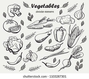 Set of various doodles, hand drawn rough simple sketches of different kinds of vegetables. Vector freehand illustration isolated on background.