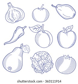 Set of various doodles, hand drawn rough simple sketches of different kinds of vegetables. Vector freehand illustration isolated on white background.