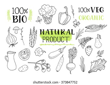 Set of various doodles, hand drawn rough simple sketches of different kinds of vegetables. Vector freehand illustration isolated on white background.