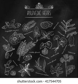 Set of various doodles, hand drawn rough simple sketches of various types of spices and herbs. Freehand illustration isolated black chalk Board. Herbs of Ayurveda.