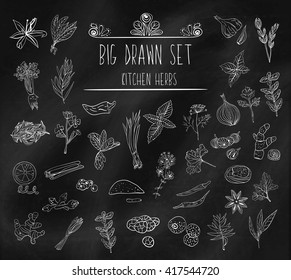 Set of various doodles, hand drawn rough simple sketches of various types of spices and herbs. Freehand illustration isolated black chalk Board. Vector illustration