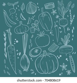 Set of various doodles, hand drawn rough simple sketches of different kinds of vegetables. Vector freehand illustration isolated on color background.
