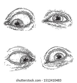 Set of various drawing of the human eye in different direction and emotion. All seeing eye, the symbol of the Masons as an option design element. Man vision. Vector.