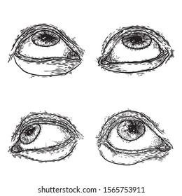 Set of various drawing of the human eye in different direction and emotion. All seeing eye, the symbol of the Masons as an option design element. Man vision. Vector.