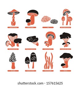 Set with various edible fungi and their Latin names