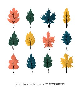 Set of various fantasy autumn tree leaves. Abstract  leaf shape for design. Isolated on white background.
