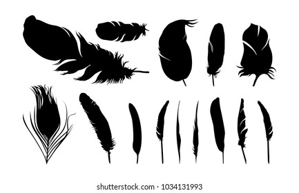 set of various of feather silhouette vector illustration