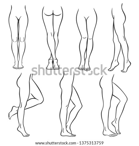 Set of various female legs. Hand drawn outline woman foot in different poses. Black and white vector illustration Slim, long, and elegant woman legs in different poses.