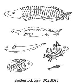 Set with various fishes isolated on white background