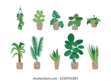 A set of various flat house plant illustration