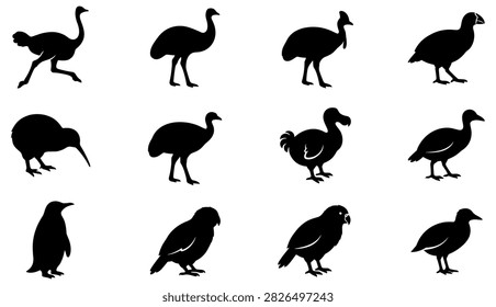 Set of various flightless birds silhouettes illustration with silhouette