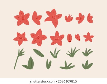 Set of various flower elements. Floral vector flat illustration. Azalea or poinsettia flower buds and leaves. Botanical hand drawn spring clipart