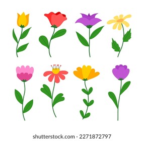 Set of Various Flower with Stems and leaves, spring flower flat style illustration