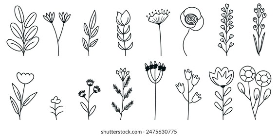 A set of various flowers, branches, leaves drawn by hand. Flora vector illustration in doodle style, eps 10