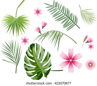 Set of various flowers and leaves
