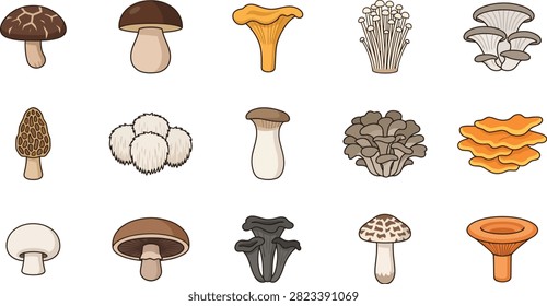 Set of various forest mushroom illustrations collection with mushroom collection mycology