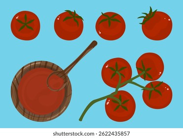 Set of various fresh cherry tomatoes vector illustration. Collection. Healthy food. Red ketchup in wooden bowl. Top view. Organic ripe fruits and vegetables, farm products. Cute isolated flat design.
