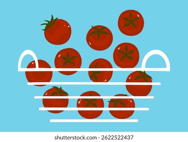 Set of various fresh cherry tomatoes vector illustration. Collection. Healthy food. Red tomatoes fall into basket. Side view. Ripe organic vegetable and fruit farm product. Isolated cute flat design.
