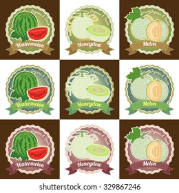 Set of various fresh melon fruit premium quality tag label badge sticker and logo design in vector