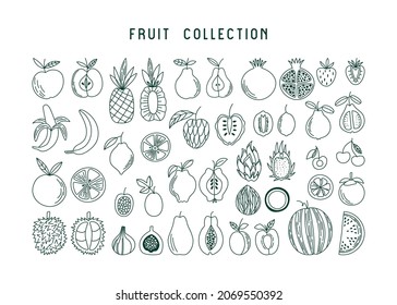 Set of various fruits and berries in line art style. Apple, pineapple, pear, pomegranate, strawberry, banana, citrus, and exotic fruits. Vector illustration with plant food