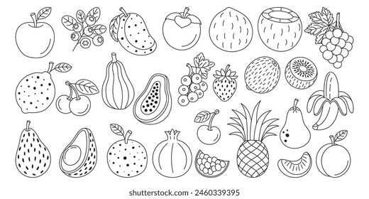 Set of various fruits and berries. In line art style, hand-drawn.