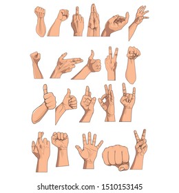 Set of various gestures and sign of Woman's hand isolated on white background.