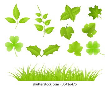 Set of various green plants, young saplings. Vector illustration, isolated on a white.