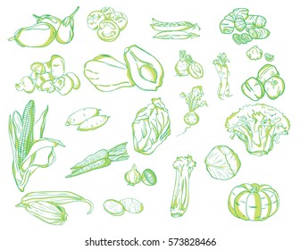 set of various green vegetables simple doodles hand drawing, isolated on white background