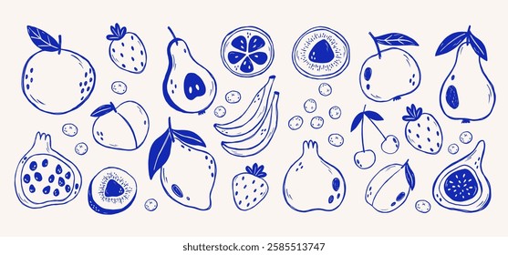 Set of various hand draw line art fruits. Doodle fruit illustration.