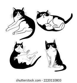 Set of various hand drawing cats icon character black and white vector illustration.