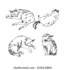Set of various hand drawing cats icon character black and white vector illustration.