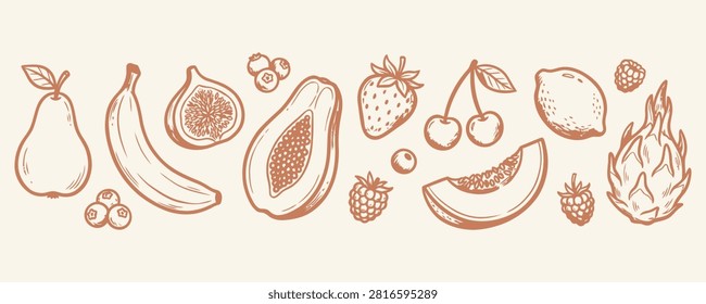 Set of various hand drawn fruits, including pear, banana, fig, papaya, strawberry, cherry, lemon, melon, raspberry, dragon fruit and blueberries, vector illustration