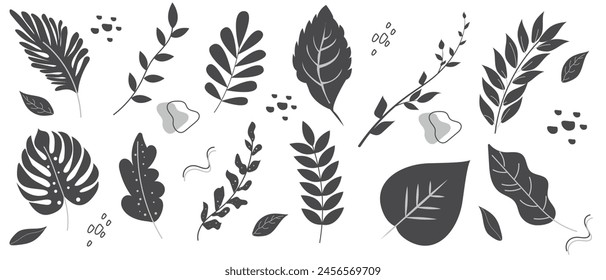 Set of various hand drawn leaves in black and white colors on a white background. Abstract natural shapes in a trendy minimalist style. Vector illustration.