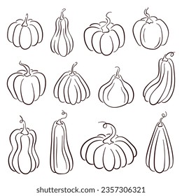 Set of various hand drawn pumpkin in line art style. Autumn sketch for Halloween, Thanksgiving design elements. Vector illustration isolated on a white background.
