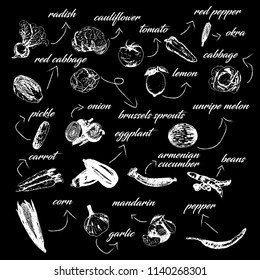 Set of various hand drawn vegetables