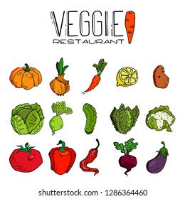 Set of various hand drawn vegetables. Sketches of different food. Isolated on white 